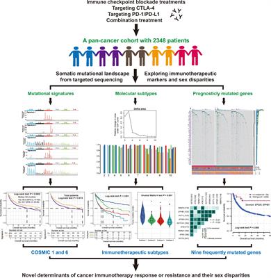 Somatic mutational landscape reveals mutational signatures and significantly mutated genes of cancer immunotherapeutic outcome and sex disparities